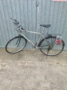 Rower Author Horizon 