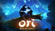 Ori and the Blind Forest KLUCZ STEAM