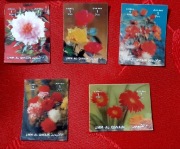 trójwymiarowy znaczek kolekcjonerski 