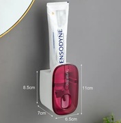 Automatyczny dozownik do pasty