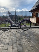 Rower LAGUNA 24 cale 