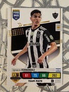 FIFA 365 (2023) | FERNANDEZ (51)