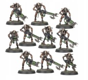Necron Warriors and Scarab Swarm - Warhammer 40k