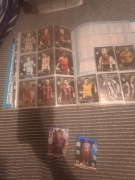 Panini champions league 2014/2015  karty opis tanio 