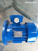 Silnik elektryczny dwóbiegowy