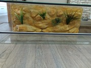 Terrarium 100x40x40 żółw 