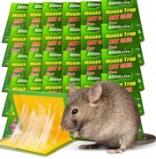 50x LEP na myszy SZCZURY silna pułapka mocny klej MYSZOŁAPKA ŁAPKA