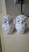 Ceramiczna Solniczka i Pieprzniczka SOWY – Komplet