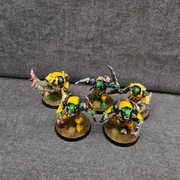 5 x Orruk Warclans Brtues Warhammer Age of Sigmar Fantasy Old World 