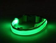 Obroża zielona  led dla Twojego psa 