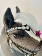 Hobby horse Czekoladka