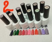 Zestaw Lakierów hybrydowe 12szt