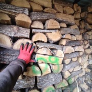 drewno kominkowe opałowe topola olcha dąb grab