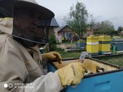 Miód wielokwiatowy 0,9l 1,2 kg