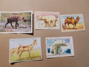 kolekcjonerskie karty ze zwierzętami między innymi z serii natura mix