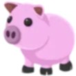 Pig Adopt Me AM 