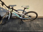 Rower Kiter 30 Kellys