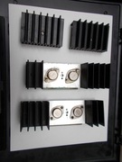 RADMOR - płytka PTM-2 wraz z radiatorami .