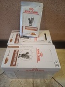 Karma mokra saszetki dla kota gastrointenstinal royal canin 22 saszetki.