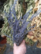 Lawenda naturalna suszona kwiaty bukiet