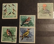 Znaczki pocztowe Ptaki polskich lasów 