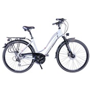 ROWER MAJDLLER 28″ MASTER 1.2 18″ LADY JASNY SZARY