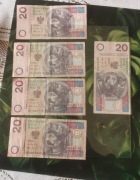 20 złotych z 94'