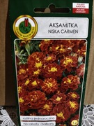 Aksamitka niska Carmen