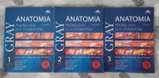 Anatomia Gray'a Komplet 3 części 