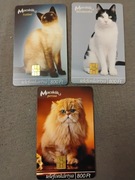 Kot koty karta karty telefoniczne Węgry zestaw