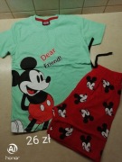 Komplet letni bluzeczka plus spodenki 