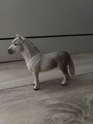 Schleich kuc walijski