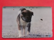 JAPONIA  / STARA  /    - Karta telefoniczna /  PSY