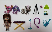 Littlest pet shop blythe rock band