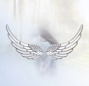 Kolczyki ,srebro ,skrzydła -piękne i delikatne+gratis pudełko!