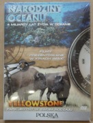 NARODZINY OCEANU   /   YELLOWSTONE