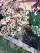 tuba szklana do dekoracji stołu wys. ok 1m