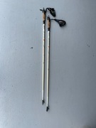 Kijedo jazdy na Skike oraz nordic skatingu.