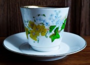 Kolekcjonerska filiżanka Syg. Stanowice koło Strzegomia Śląsk 1882-1890