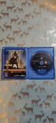 Gra na PS4 Destiny