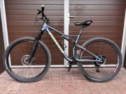 Specialized Epic Comp EVO 2019