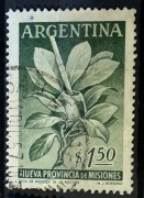 Argentyna, krzew Yerba Mate (ostrokrzew paragwajski) 1,50 pesos.