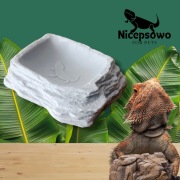 Basen dla gadów narożny, terrarium, Gady, miska