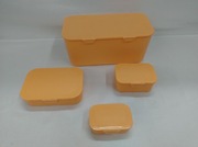 Pojemniki Ernesto Pomarańcz 