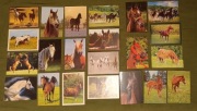 Zestaw 22 pocztówki z wizerunkiem koni konie źrebak 