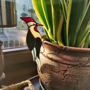 Witraż zawieszka na doniczkę -  dziecioł