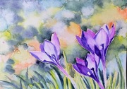 Akwarela 24x32 - "Krokusy zwiastuny wiosny"