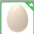 Pet egg pakiet 20 /Adopt me Roblox