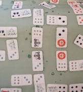 Bawełna Premium Domino