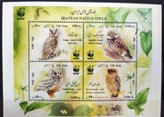 Fauna zwierzęta ptaki sowy WWF Iran